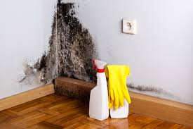 Best Black Mold Removal  in Woodlynne, NJ